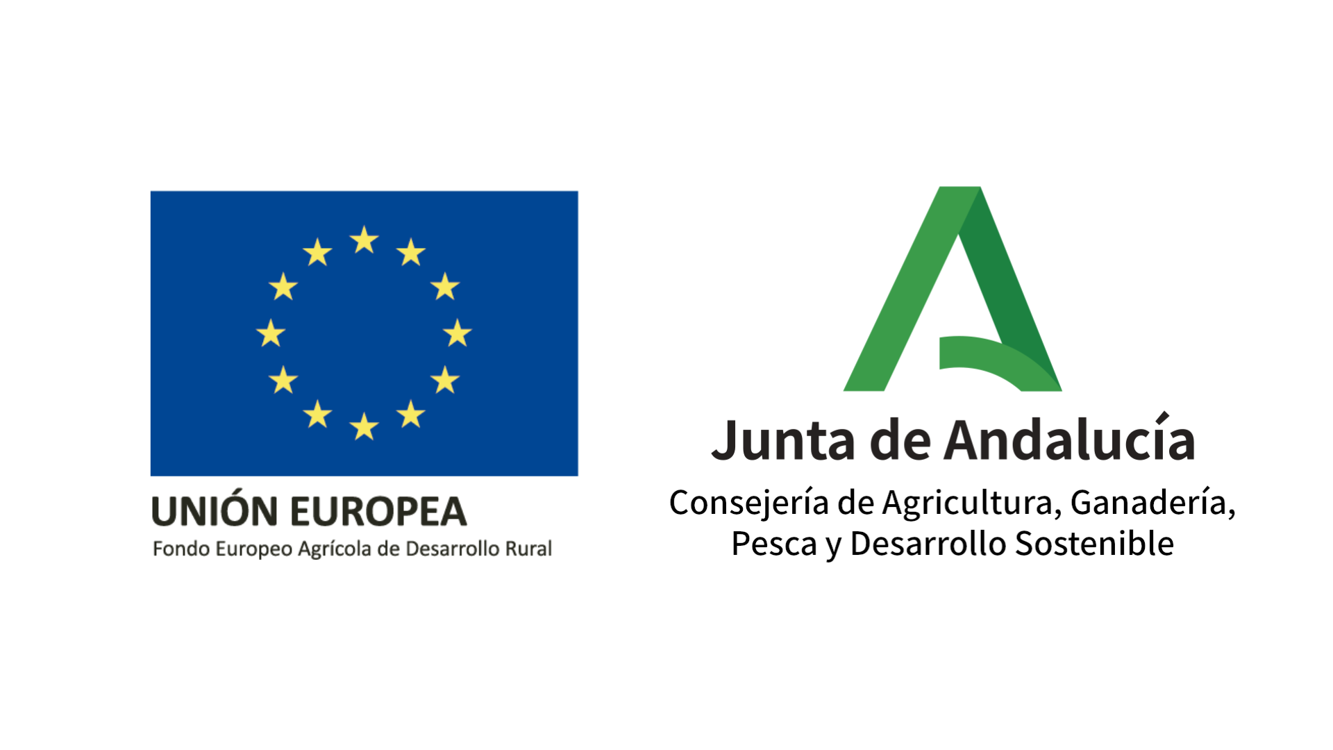 Junta y Europa